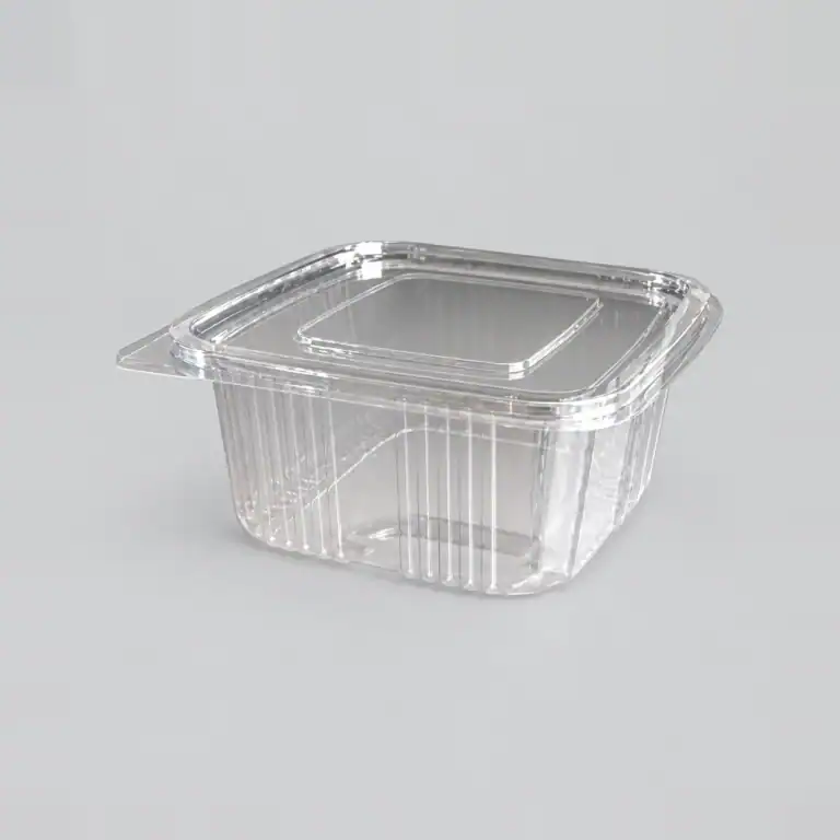 Clear Hinged Container 500cc (600)