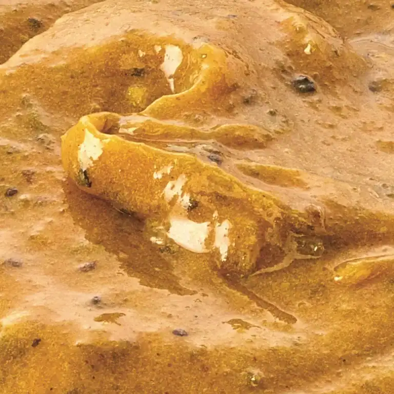 RAPS Magic Marinade Mustard & Beer (2.5kg)